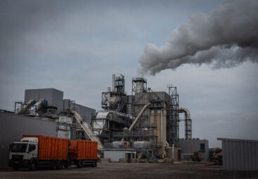 Менше сировини, більше переробки: як «Зроблено в Україні» змінює аграрну економіку