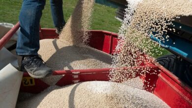 Фермери зможуть ширше використовувати добрива RENURE