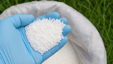 Дефіцит аміачної селітри в Україні досягає 70%: аграрії ризикують недобрати врожай