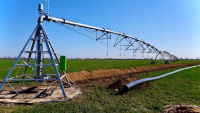 Другий етап реформи меліорації: що зміниться для аграріїв