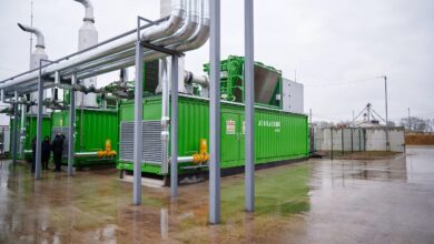 "Галс Агро" запустила виробництво сертифікованого "зеленого" цукру в Україні