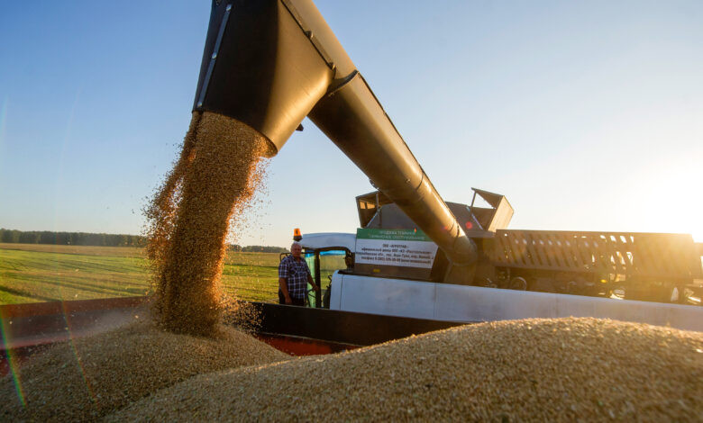 USDA підвищило прогноз врожаю пшениці в Україні, але знизило очікуваний експорт