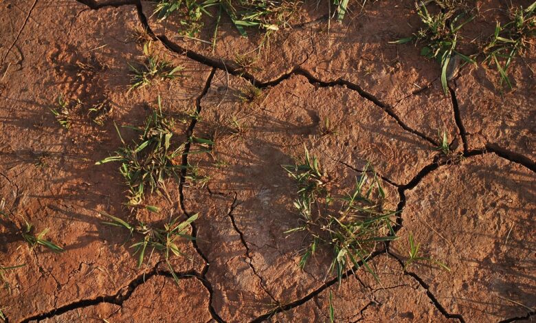 soil, land, dry, cracked, drought, nature, grass