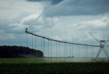 Зеленський підписав закон про меліорацію: в Україні запроваджують операторів зрошувальних систем