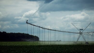 Зеленський підписав закон про меліорацію: в Україні запроваджують операторів зрошувальних систем