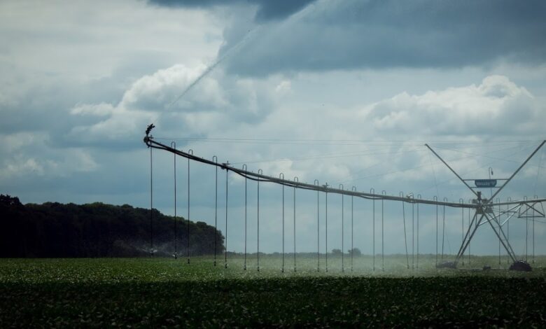 Зеленський підписав закон про меліорацію: в Україні запроваджують операторів зрошувальних систем