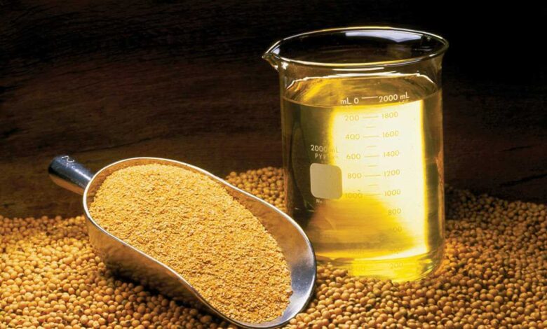 Ціни на соєву олію в Чикаго злетіли на понад 4%