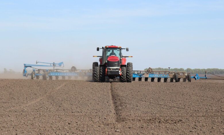УЗА прогнозує зміни посівних площ в Україні: пшениця та ячмінь зростуть, кукурудза може скоротитися