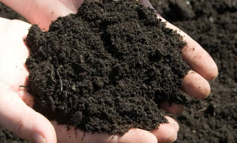 Війна прискорила деградацію ґрунтів в Україні