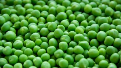 A vibrant close-up image of fresh, organic green peas for healthy eating.
