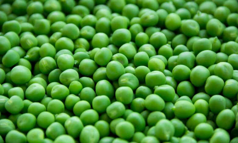 A vibrant close-up image of fresh, organic green peas for healthy eating.