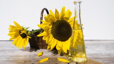 oil, sunflower oil, edible oil, flower wallpaper, food, nourishment, cook, sunflower, bottle, flower, plant, flora, yellow, summer, blossom, bloom, nature, bloom, sunflower seeds, kernels, beautiful flowers, flower background, seeds