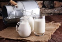 Топ-10 найприбутковіших молочних компаній України 2025