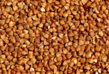 buckwheat, corn, grains, texture, useful, buckwheat, buckwheat, buckwheat, buckwheat, buckwheat
