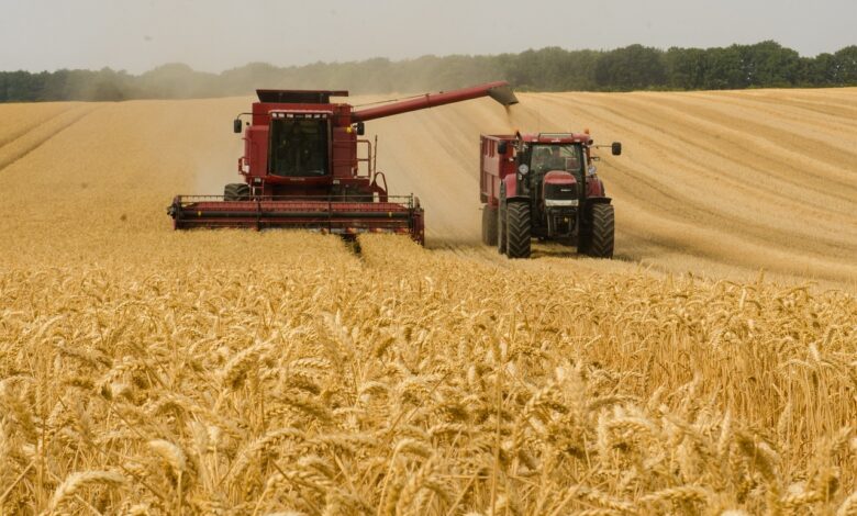 harvester, tractor, nature, wheat, agriculture, farm, harvest, machine, fieldwork, rural, summer, crop, field, orange summer, orange farm, orange field, orange wheat