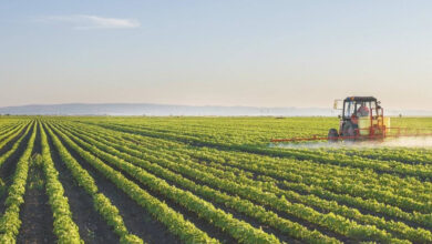 Капітальні інвестиції в агропромисловість України зросли на 7%