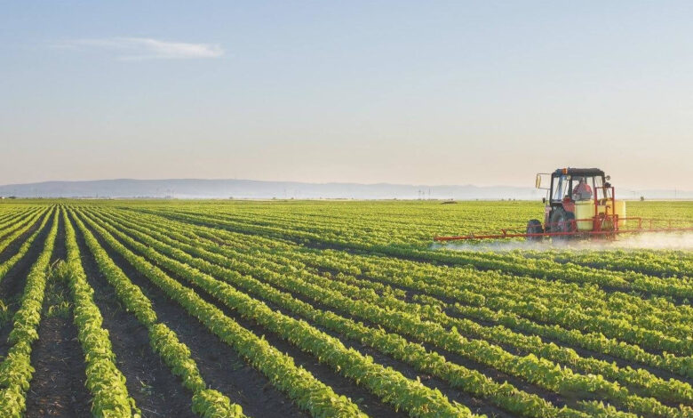 Капітальні інвестиції в агропромисловість України зросли на 7%