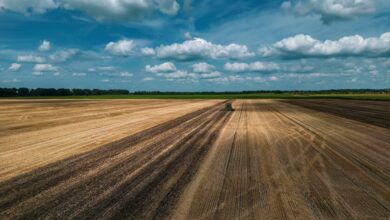 Ринок сільгоспземель в Україні перевищив 1 млн гектарів