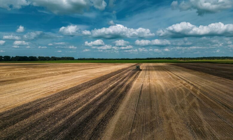 Ринок сільгоспземель в Україні перевищив 1 млн гектарів