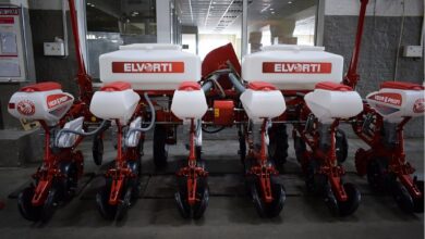 "Ельворті" скоротив збитки майже на 30% у 2025 році