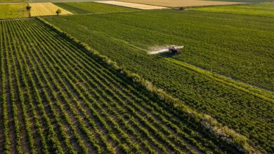 agriculture, tractor, field, land, farmland, tractor, tractor, tractor, tractor, tractor, farmland, farmland, farmland