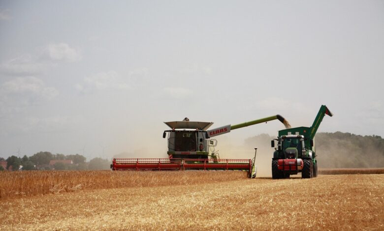 harvest, agriculture, summer, grain, tractor, farmer, nature, fields, combine harvester, farm, harvest, harvest, harvest, agriculture, agriculture, agriculture, tractor, tractor, tractor, tractor, tractor