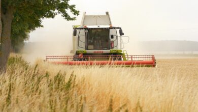 combine harvester, agriculture, harvest, grain, panasonic, lumix, wetterau, hesse, germany, claas