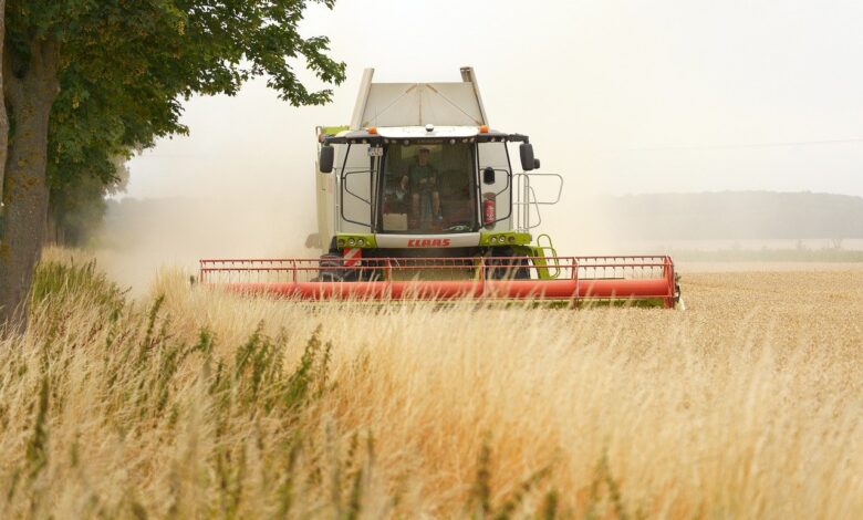 combine harvester, agriculture, harvest, grain, panasonic, lumix, wetterau, hesse, germany, claas