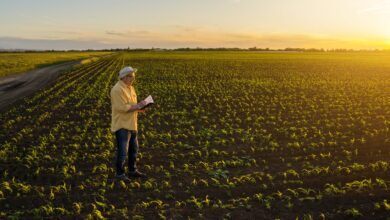 В Україні частково відновлюють позапланові перевірки земель