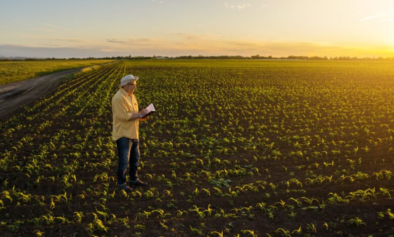 В Україні частково відновлюють позапланові перевірки земель