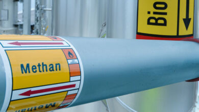 Vitagro, МХП та «Галс Агро» експортували в ЄС 5,9 млн кубометрів біометану на $5,4 млн у 2025 році