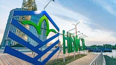 "Нібулон" розпочав розрахунок вуглецевого балансу підприємств і оцінку потенціалу зелених насаджень