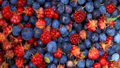 Гранти до 150 тисяч доларів для фермерів