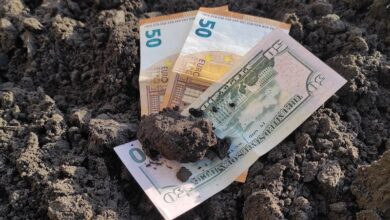 Українські виробники та фермери можуть отримати гранти через «Дію»