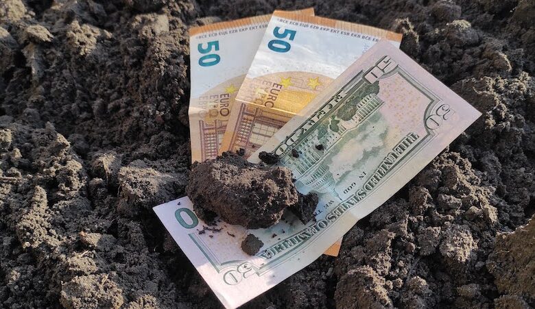 Українські виробники та фермери можуть отримати гранти через «Дію»