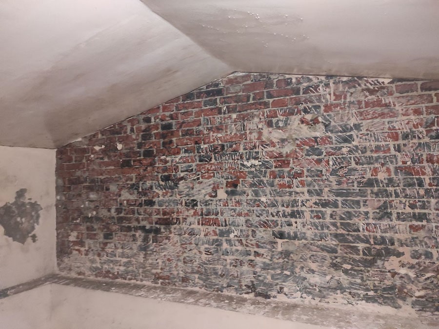 Фундаментальний захист врожаю: чому 4-етапне видалення плісняви — єдиний вихід для сучасного агробізнесу