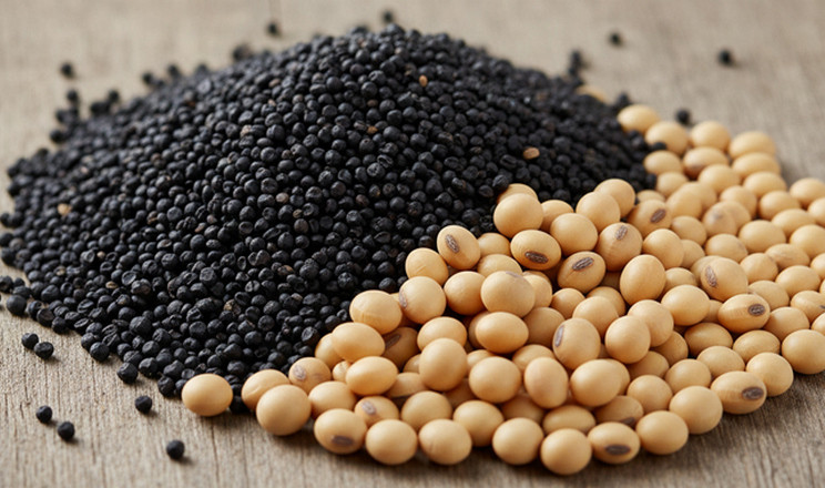 Українські фермери втратили $180 млн через мита на сою та ріпак