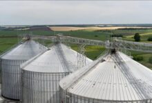 Мережа АЗС KLO інвестувала в агробізнес