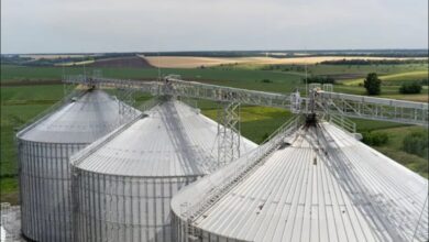 Мережа АЗС KLO інвестувала в агробізнес