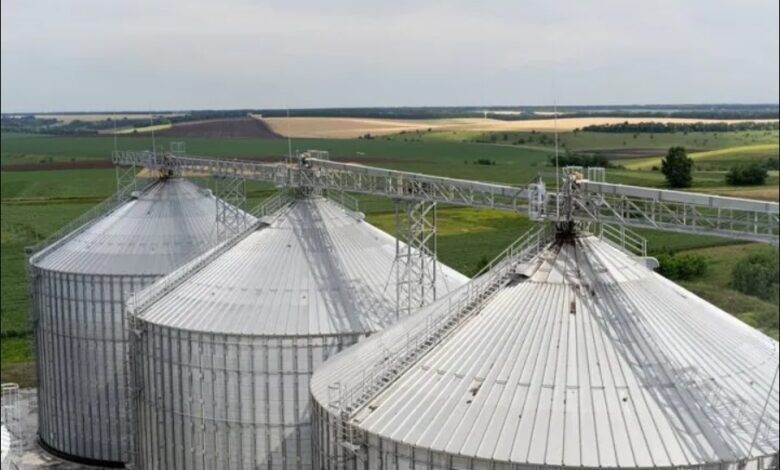 Мережа АЗС KLO інвестувала в агробізнес