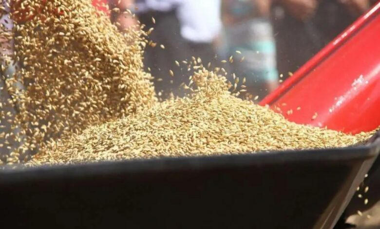 KMZ Industries побудує нові силоси на Черкащині: потужності зберігання зростуть до 17 тис. тонн