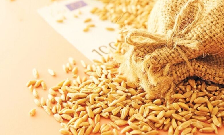 Котирування української пшениці на початку весни