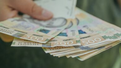 Кожне третє сільське домогосподарство в Україні втратило доходи