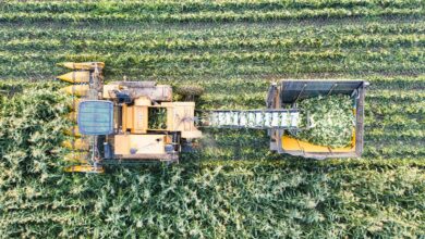 Drone shot of a corn harvester working through fields in Minnesota, USA.