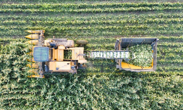 Drone shot of a corn harvester working through fields in Minnesota, USA.