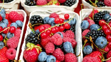 berries, fruits, raspberries, blackberries, strawberries, currants, fresh berries, ripe berries, produce, harvest, organic, mixed berries, mixed, fruit stand, healthy, food, berries, berries, berries, berries, berries, fruits, fruits, fruits, fruits