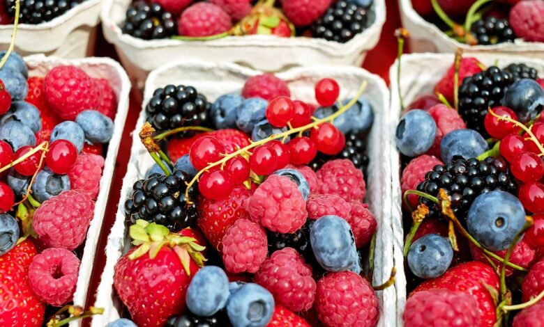 berries, fruits, raspberries, blackberries, strawberries, currants, fresh berries, ripe berries, produce, harvest, organic, mixed berries, mixed, fruit stand, healthy, food, berries, berries, berries, berries, berries, fruits, fruits, fruits, fruits