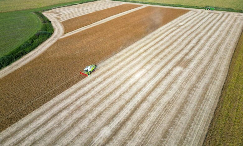 Aerial shot of combine harvester working in a ripe field near Garešnica, Croatia.