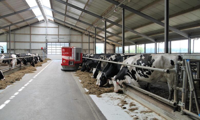 dairy farm, farm, robot, lely, cows, dairy farm, dairy farm, dairy farm, dairy farm, dairy farm