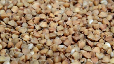 buckwheat, food, nutrition, close-up, health, porridge, macro, healthy food, delicious, vegetarian, buckwheat, buckwheat, buckwheat, buckwheat, buckwheat